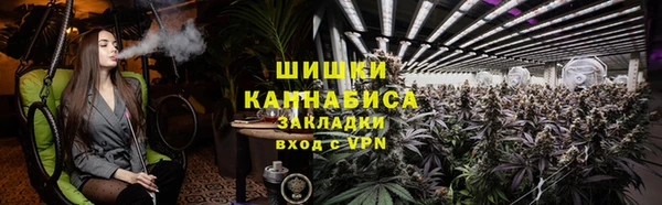 соль ск Арсеньев