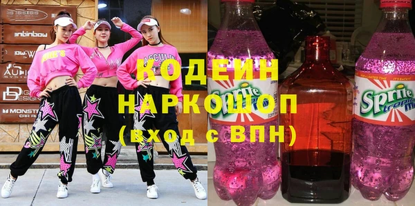 соль ск Арсеньев