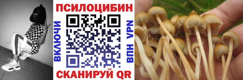 Галлюциногенные грибы мухоморы  Сольвычегодск 