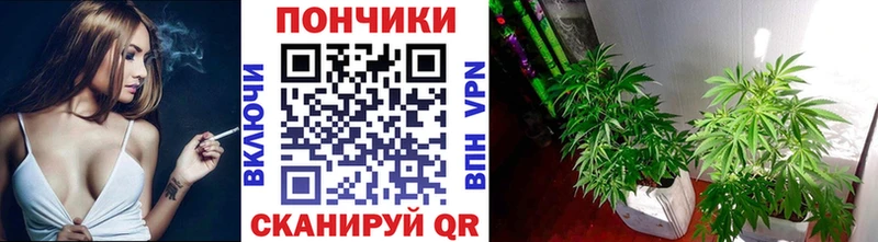 Конопля Ganja  Сольвычегодск 
